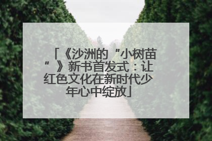 《沙洲的“小树苗”》新书首发式：让红色文化在新时代少年心中绽放