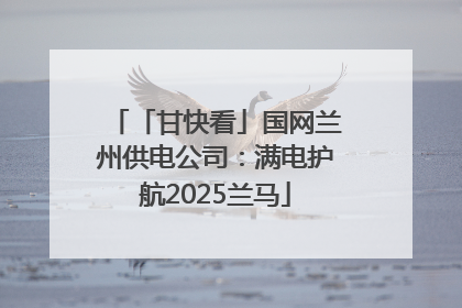 「甘快看」国网兰州供电公司：满电护航2025兰马