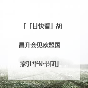「甘快看」胡昌升会见欧盟国家驻华使节团