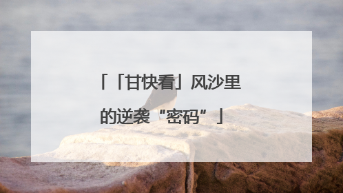 「甘快看」风沙里的逆袭“密码”