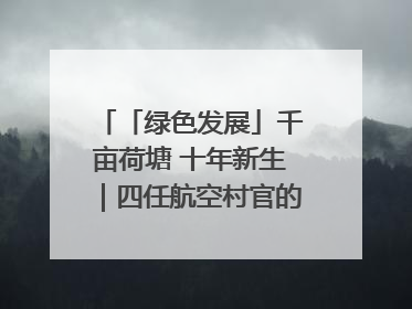 「绿色发展」千亩荷塘 十年新生｜四任航空村官的“生态接力”