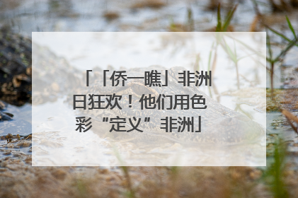 「侨一瞧」非洲日狂欢！他们用色彩“定义”非洲