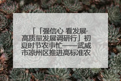 「强信心 看发展·高质量发展调研行」初夏时节农事忙——武威市凉州区推进高标准农田建设见闻