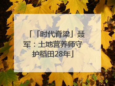 「时代脊梁」聂军：土地营养师守护稻田28年