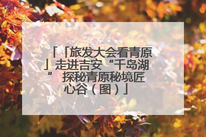 「旅发大会看青原」走进吉安“千岛湖” 探秘青原秘境匠心谷（图）