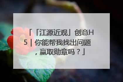 「江源近观」创意H5｜你能帮我找出问题，赢取勋章吗？
