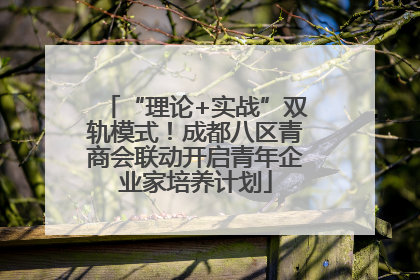 “理论+实战”双轨模式！成都八区青商会联动开启青年企业家培养计划