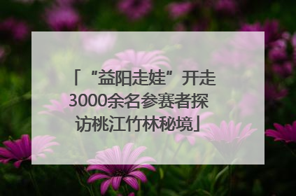 “益阳走娃”开走 3000余名参赛者探访桃江竹林秘境