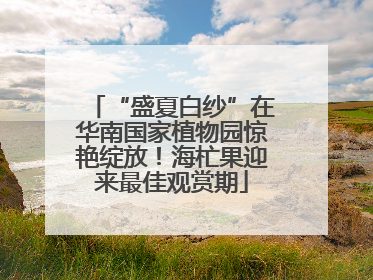“盛夏白纱”在华南国家植物园惊艳绽放！海杧果迎来最佳观赏期