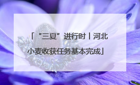 “三夏”进行时丨河北小麦收获任务基本完成
