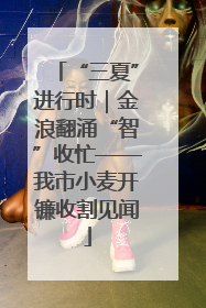 “三夏”进行时｜金浪翻涌“智”收忙——我市小麦开镰收割见闻
