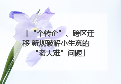 “个转企”、跨区迁移 新规破解小生意的“老大难”问题
