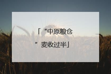 “中原粮仓”麦收过半