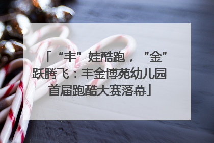“丰”娃酷跑，“金”跃腾飞：丰金博苑幼儿园首届跑酷大赛落幕