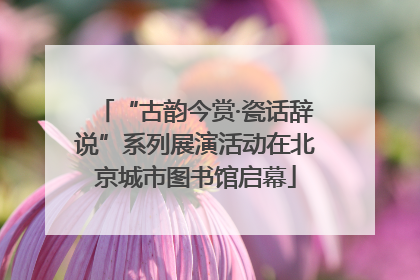 “古韵今赏·瓷话辞说”系列展演活动在北京城市图书馆启幕
