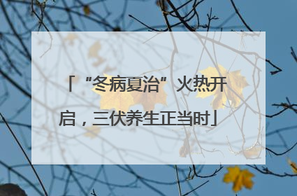 “冬病夏治”火热开启，三伏养生正当时