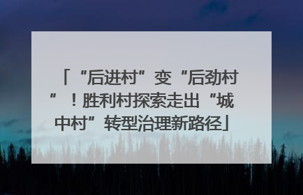 “后进村”变“后劲村”！胜利村探索走出“城中村”转型治理新路径