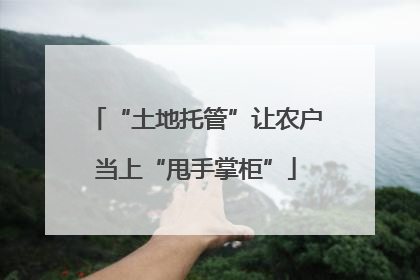 “土地托管”让农户当上“甩手掌柜”