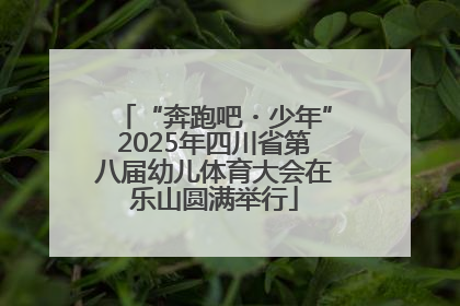 “奔跑吧・少年”2025年四川省第八届幼儿体育大会在乐山圆满举行