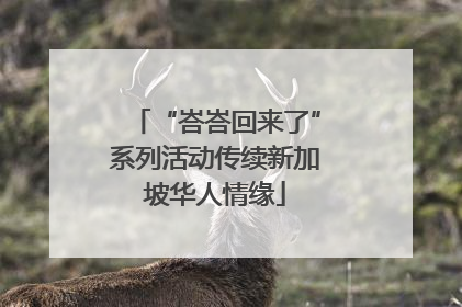 “峇峇回来了”系列活动传续新加坡华人情缘
