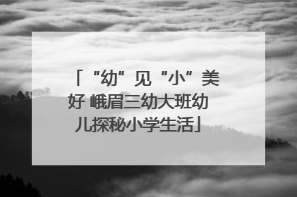 “幼”见“小”美好 峨眉三幼大班幼儿探秘小学生活