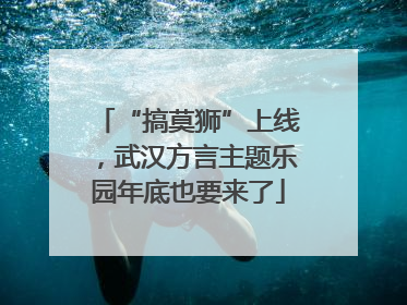 “搞莫狮”上线，武汉方言主题乐园年底也要来了