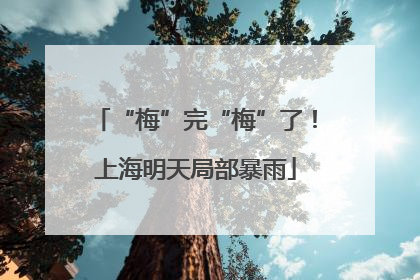“梅”完“梅”了！上海明天局部暴雨