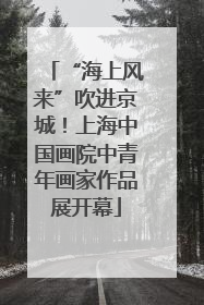 “海上风来”吹进京城！上海中国画院中青年画家作品展开幕