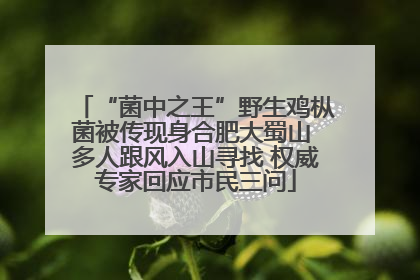 “菌中之王”野生鸡枞菌被传现身合肥大蜀山 多人跟风入山寻找 权威专家回应市民三问