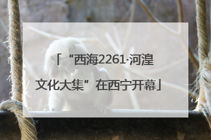 “西海2261·河湟文化大集”在西宁开幕