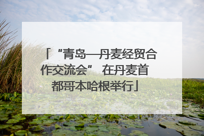 “青岛—丹麦经贸合作交流会” 在丹麦首都哥本哈根举行