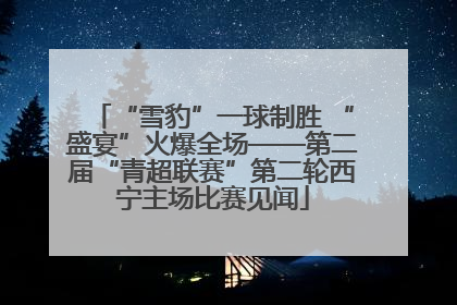 “雪豹”一球制胜 “盛宴”火爆全场——第二届“青超联赛”第二轮西宁主场比赛见闻