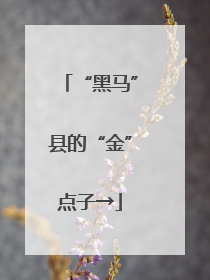 “黑马”县的“金”点子→