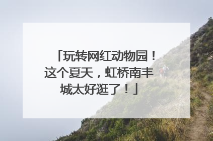 玩转网红动物园！这个夏天，虹桥南丰城太好逛了！