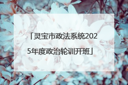 灵宝市政法系统2025年度政治轮训开班