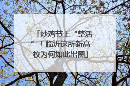 炒鸡节上“整活”！临沂这所新高校为何如此出圈