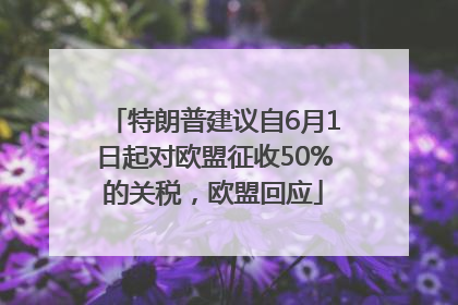 特朗普建议自6月1日起对欧盟征收50%的关税，欧盟回应