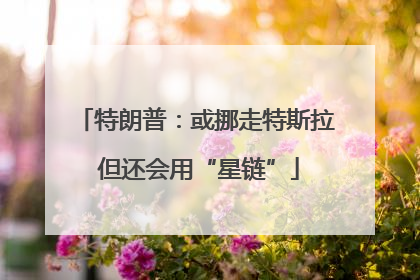 特朗普：或挪走特斯拉 但还会用“星链”