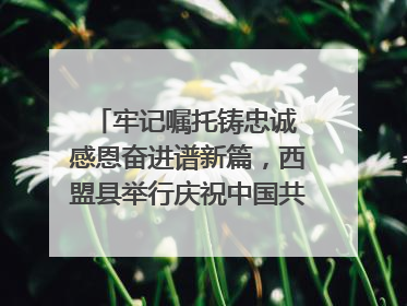 牢记嘱托铸忠诚 感恩奋进谱新篇，西盟县举行庆祝中国共产党成立104周年文艺晚会