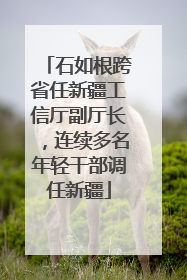 石如根跨省任新疆工信厅副厅长，连续多名年轻干部调任新疆