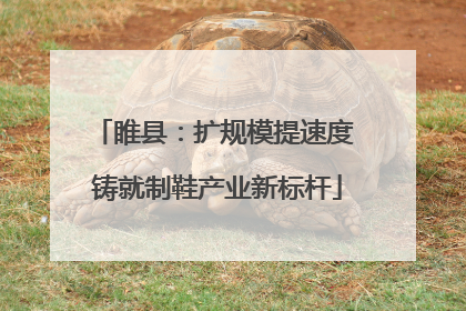 睢县：扩规模提速度 铸就制鞋产业新标杆