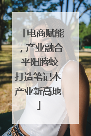 电商赋能，产业融合 平阳腾蛟打造笔记本产业新高地