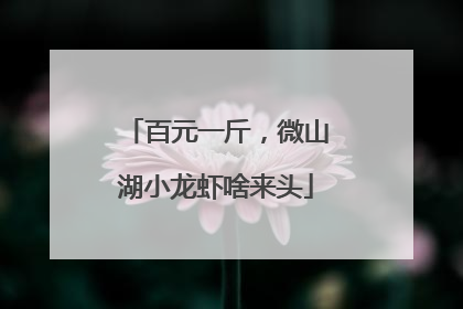 百元一斤，微山湖小龙虾啥来头