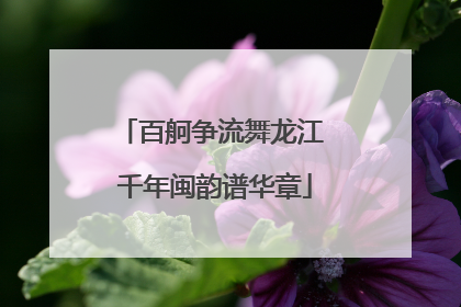 百舸争流舞龙江 千年闽韵谱华章