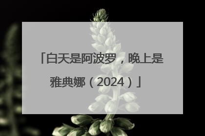 白天是阿波罗，晚上是雅典娜（2024）