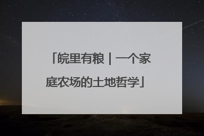 皖里有粮｜一个家庭农场的土地哲学