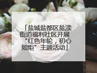 盐城盐都区盐渎街道福利社区开展“红色年轮，初心如炬”主题活动