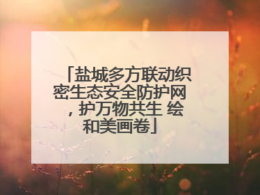 盐城多方联动织密生态安全防护网，护万物共生 绘和美画卷