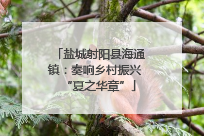 盐城射阳县海通镇：奏响乡村振兴“夏之华章”
