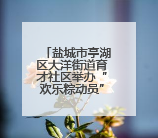 盐城市亭湖区大洋街道育才社区举办“欢乐粽动员”端午节活动